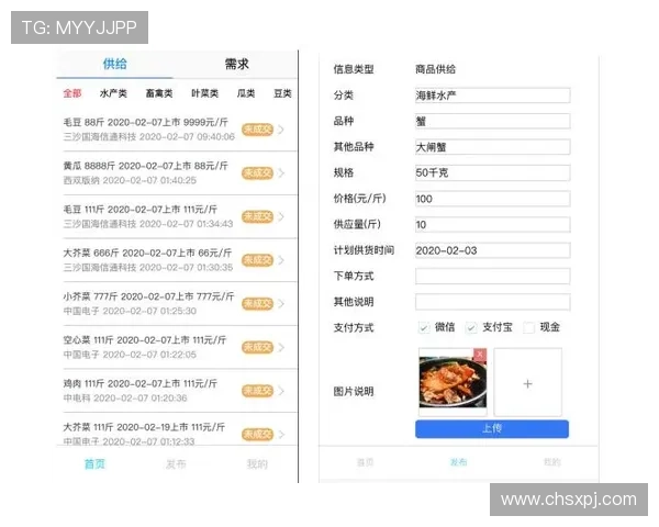 新葡萄娱乐城官网平台：如何注册登录及保障个人信息安全