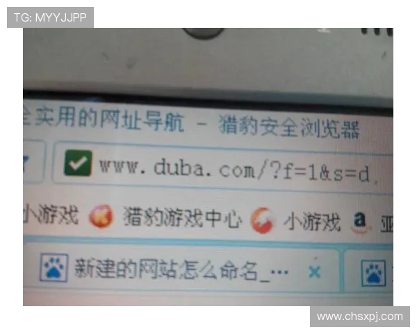 新普京app网址最新入口，安全稳定的官方登录地址推荐