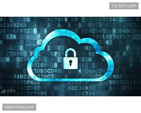 新葡萄娱乐城会员安全保障措施确保个人信息安全的实用建议