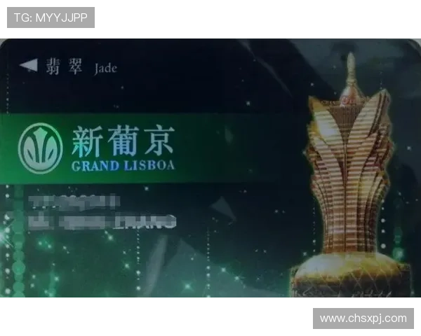 澳门新葡京百家乐线上平台优势，体验高品质游戏环境与优质服务