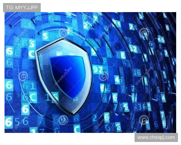 新葡京娱乐在线官网最新安全保障措施详解确保玩家资金与信息安全